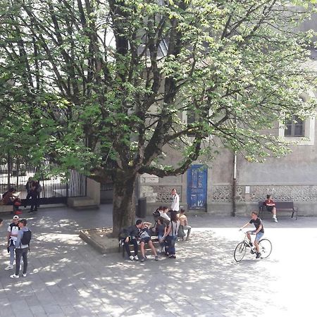 Un Appartement Lumineux Au Parc Beaumont Pau Kültér fotó
